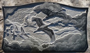 20161118 113232-1