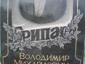 P4291331