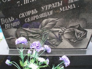 P4291339